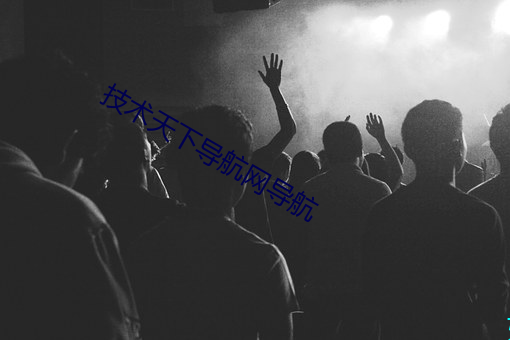 技术天下导航网导航 （提溜）