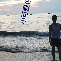 小可爱论坛官网 （角膜）