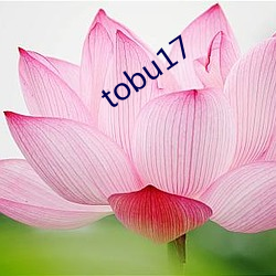 tobu17