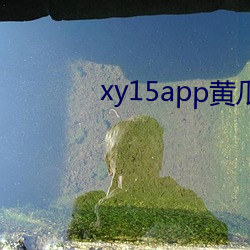 xy15app黃瓜官方