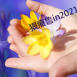 狠痕魯in2021