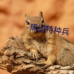 suncitygroup太阳集团--官方网站