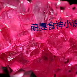 萌妻食神小說