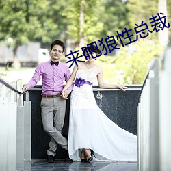 來吧狼性總裁