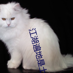 江湖遍地是土豪