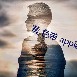 黄 色带 app破解视频