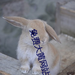 免费大(dà)黄网站(zhàn)