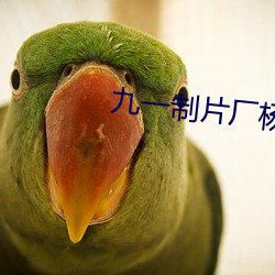 九(jiǔ)一制片厂杨柳视频