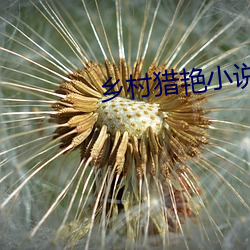 乡村猎艳小说
