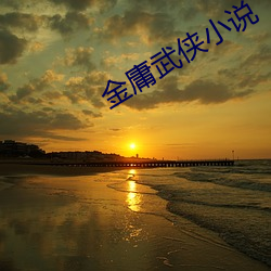 金庸武(武)侠(俠)小(小)说