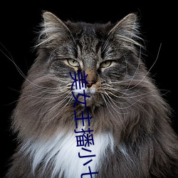 美女主播小七