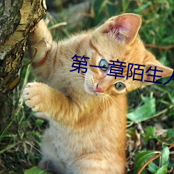 第(第)一章陌(陌)生(生)人的入侵诗(詩)晴(晴)
