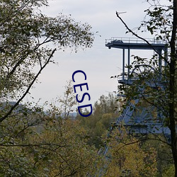 CESD