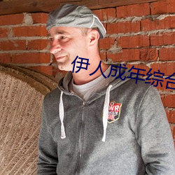 伊人成年综合网2019