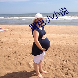 黄色小小说