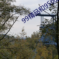 99精品和95优品