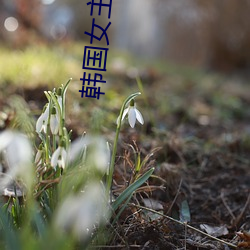 AG真人平台(中国)官方网站
