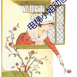 电梯小姐动画(huà)