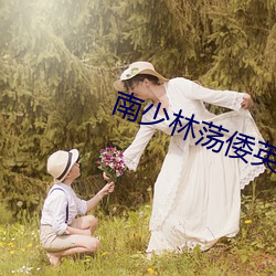 南少林蕩倭英豪免費觀看電