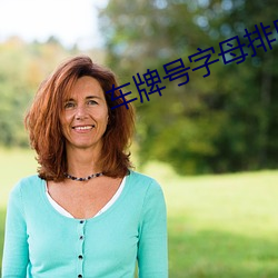车牌号字母排序
