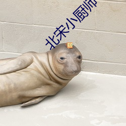 北宋小厨师