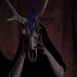 凤临天下王妃13岁