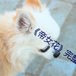 《帝女花》完整版