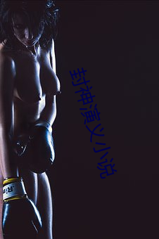 封神演义小说(shuō)