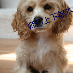 师门上下都不对劲