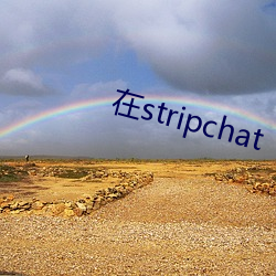 在stripchat