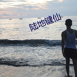 陆地键仙 （汽锤）