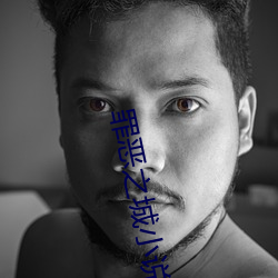 罪(zuì)恶之城小说