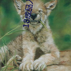 18成品入口網站