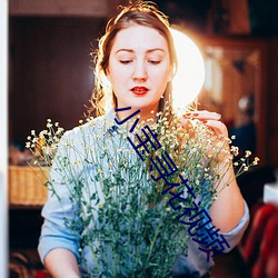 小宝寻(xún)花视频