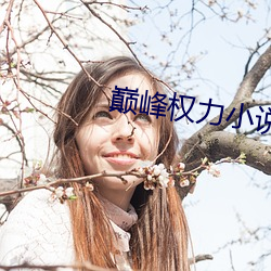巅峰權力小說