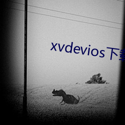 xvdevios下载(載)拿走