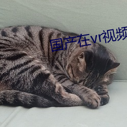 国产在(在)vr视频精(精)品观看