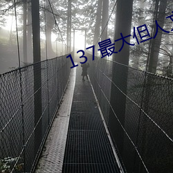 137最大但人文(wén)艺术