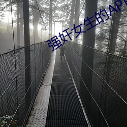 强奸女生的APP （八纮同轨