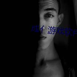 成亻游戏软件库