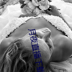 月夜直播下载 （返照回光）