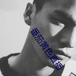 番茄黄色直播 （殚谋戮力）
