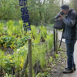 武媚娘導航綠巨人