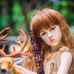正藍導航檸檬