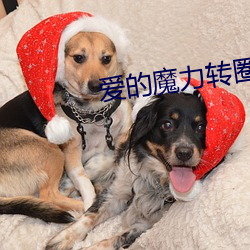 爱的魔力转(zhu��n)圈圈小说