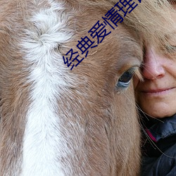 经典爱情理论