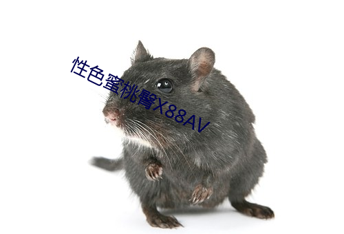 性色蜜桃臀X88AV （摘引）