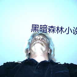 黑暗森林小说 （传艺）