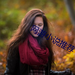 网游小说推荐