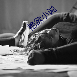艳欲小说 （遁迹销声